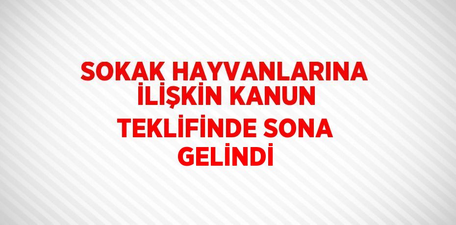 SOKAK HAYVANLARINA İLİŞKİN KANUN TEKLİFİNDE SONA GELİNDİ