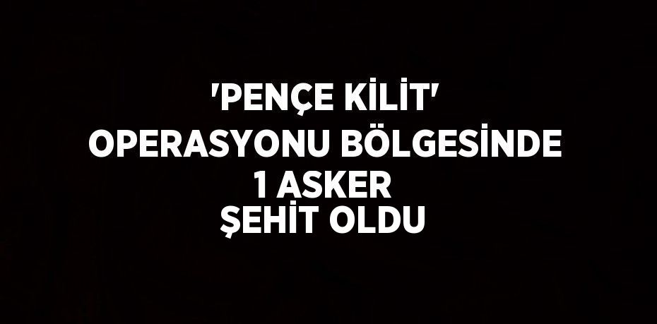 'PENÇE KİLİT' OPERASYONU BÖLGESİNDE 1 ASKER ŞEHİT OLDU