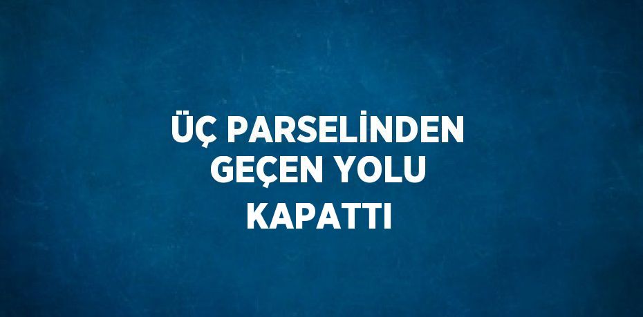 ÜÇ PARSELİNDEN GEÇEN YOLU KAPATTI