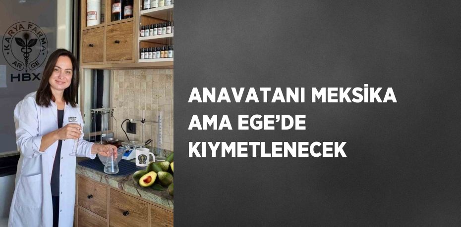 ANAVATANI MEKSİKA AMA EGE’DE KIYMETLENECEK