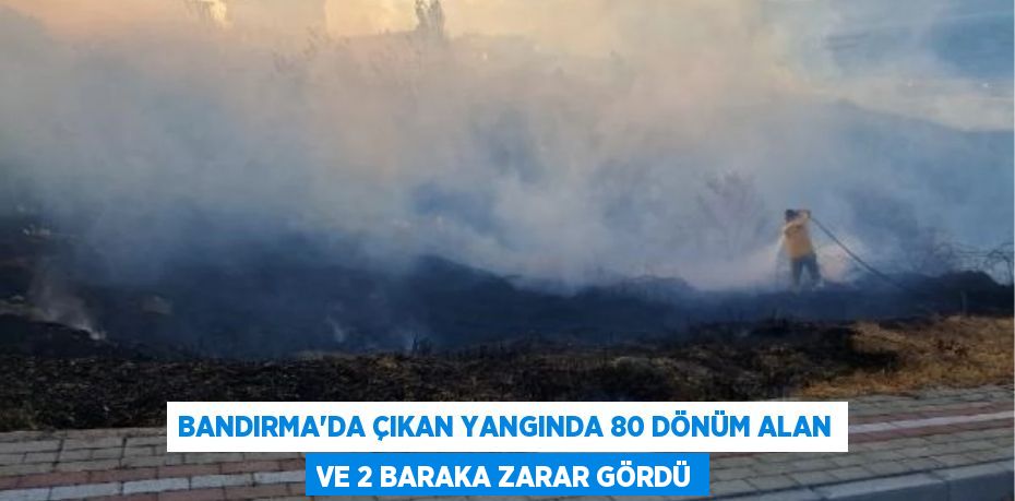 Bandırma'da çıkan yangında 80 dönüm alan ve 2 baraka zarar gördü