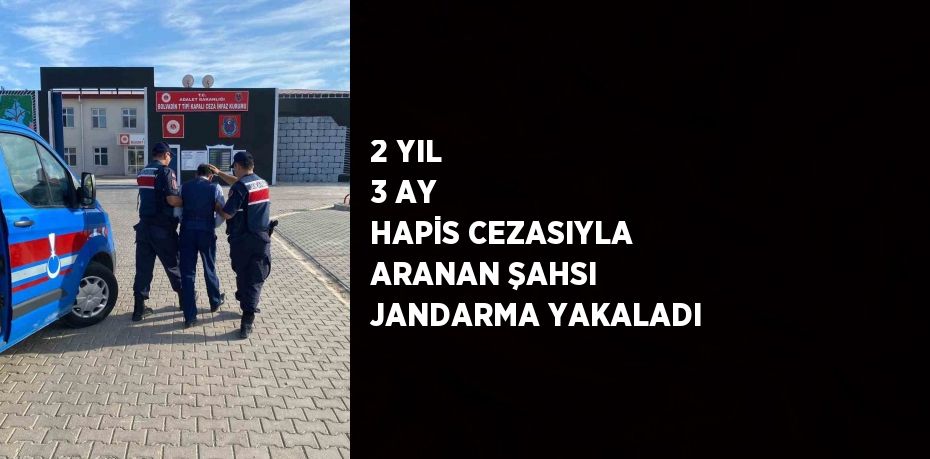 2 YIL 3 AY HAPİS CEZASIYLA ARANAN ŞAHSI JANDARMA YAKALADI