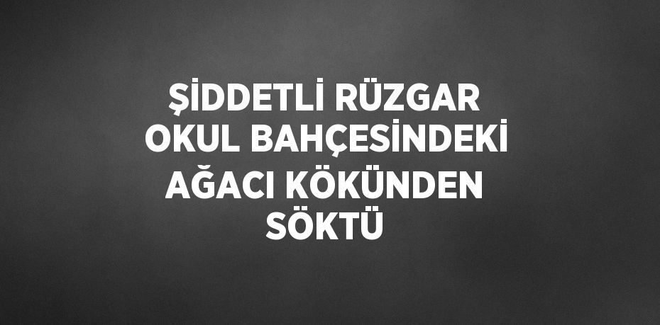 ŞİDDETLİ RÜZGAR OKUL BAHÇESİNDEKİ AĞACI KÖKÜNDEN SÖKTÜ