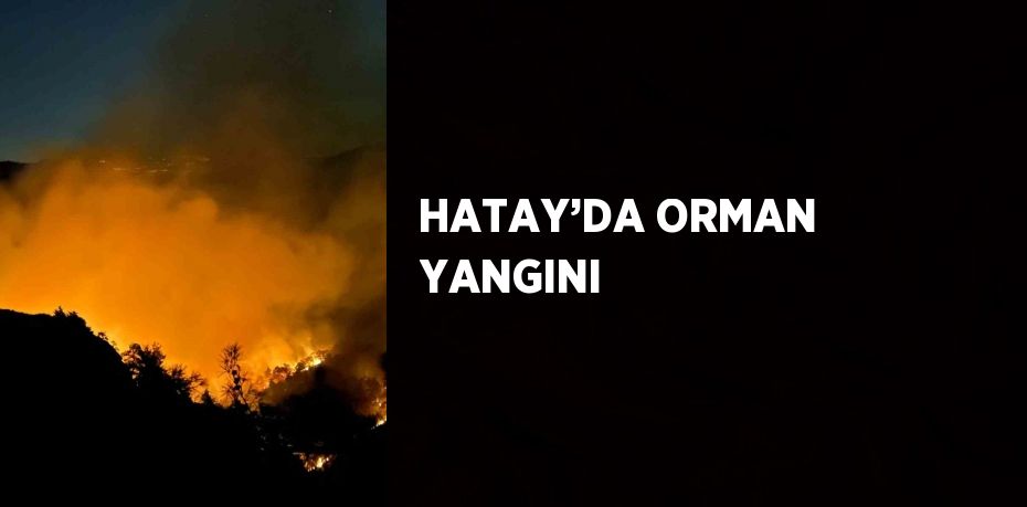 HATAY’DA ORMAN YANGINI