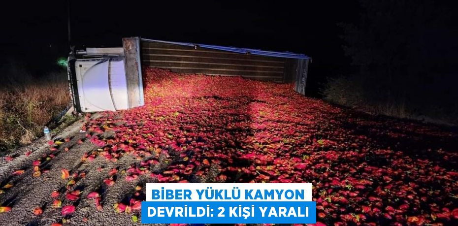 Biber yüklü kamyon devrildi: 2 kişi yaralı