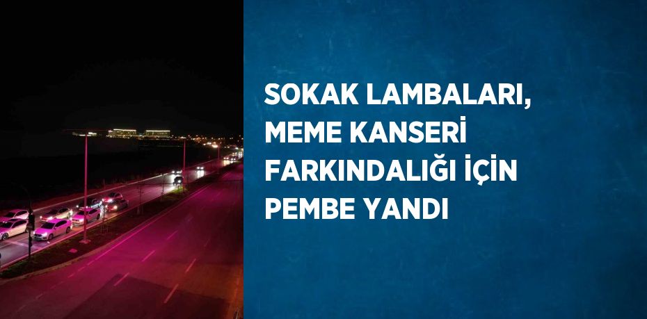 SOKAK LAMBALARI, MEME KANSERİ FARKINDALIĞI İÇİN PEMBE YANDI