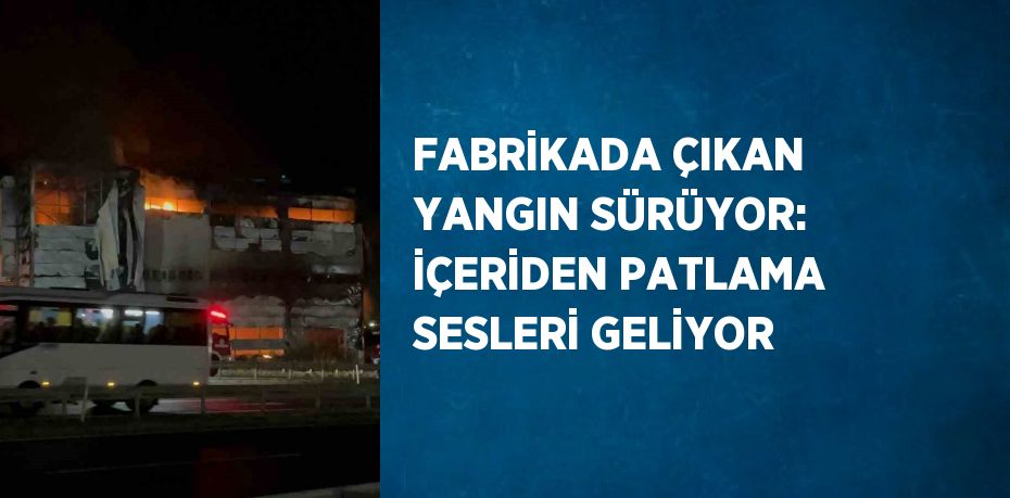 FABRİKADA ÇIKAN YANGIN SÜRÜYOR: İÇERİDEN PATLAMA SESLERİ GELİYOR