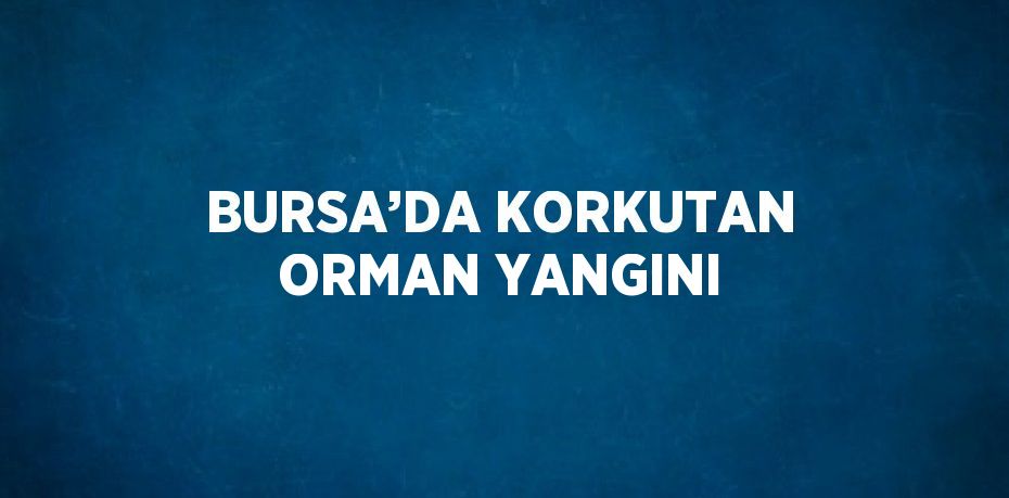 BURSA’DA KORKUTAN ORMAN YANGINI