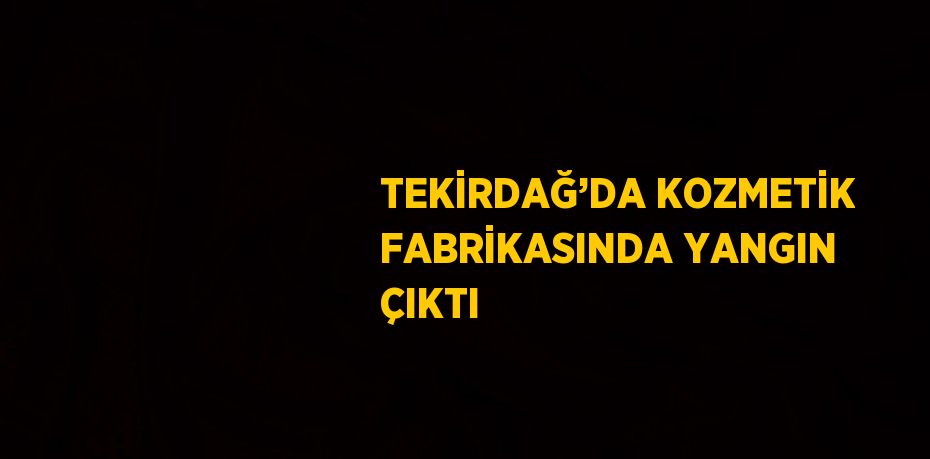 TEKİRDAĞ’DA KOZMETİK FABRİKASINDA YANGIN ÇIKTI