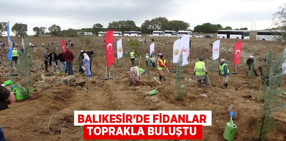 Balıkesir’de fidanlar toprakla buluştu