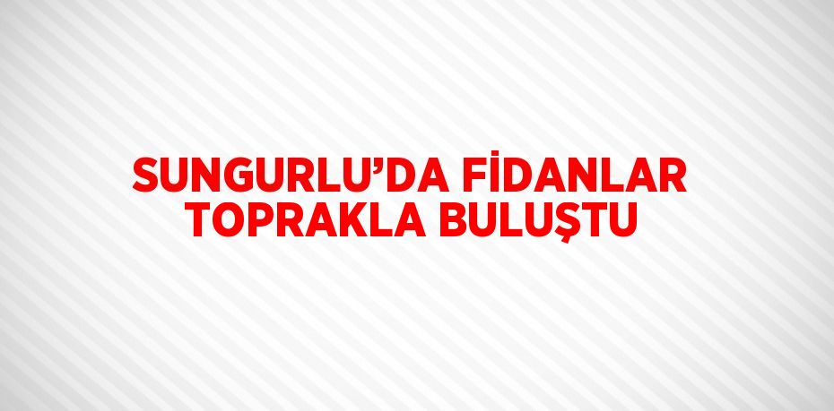 SUNGURLU’DA FİDANLAR TOPRAKLA BULUŞTU