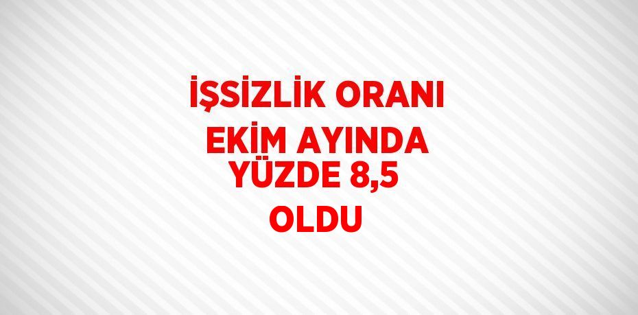 İŞSİZLİK ORANI EKİM AYINDA YÜZDE 8,5 OLDU