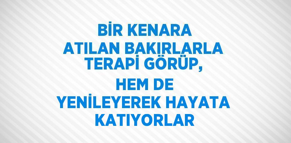 BİR KENARA ATILAN BAKIRLARLA TERAPİ GÖRÜP, HEM DE YENİLEYEREK HAYATA KATIYORLAR