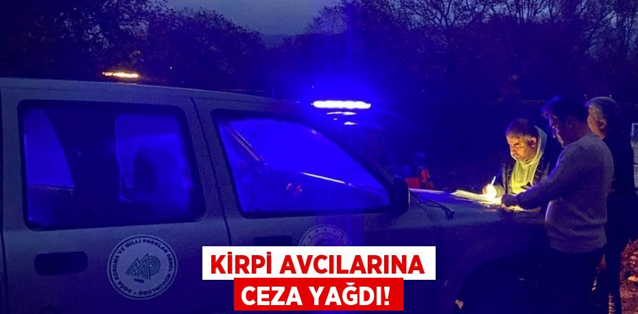 Kirpi avcılarına ceza yağdı!