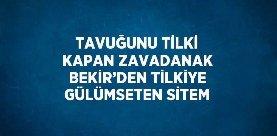 TAVUĞUNU TİLKİ KAPAN ZAVADANAK BEKİR’DEN TİLKİYE GÜLÜMSETEN SİTEM