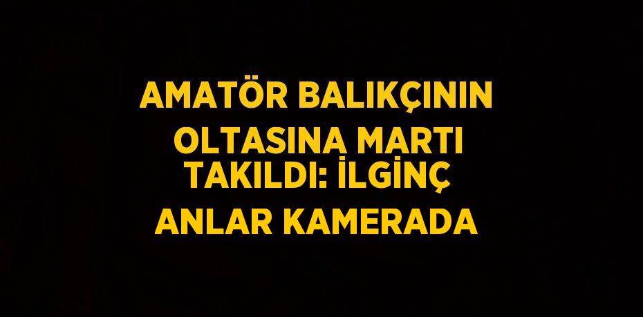 AMATÖR BALIKÇININ OLTASINA MARTI TAKILDI: İLGİNÇ ANLAR KAMERADA