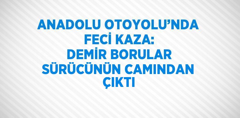 ANADOLU OTOYOLU’NDA FECİ KAZA: DEMİR BORULAR SÜRÜCÜNÜN CAMINDAN ÇIKTI