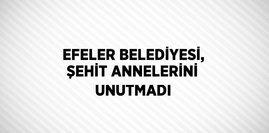 EFELER BELEDİYESİ, ŞEHİT ANNELERİNİ UNUTMADI