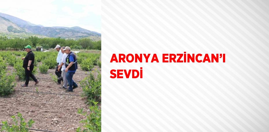 ARONYA ERZİNCAN’I SEVDİ