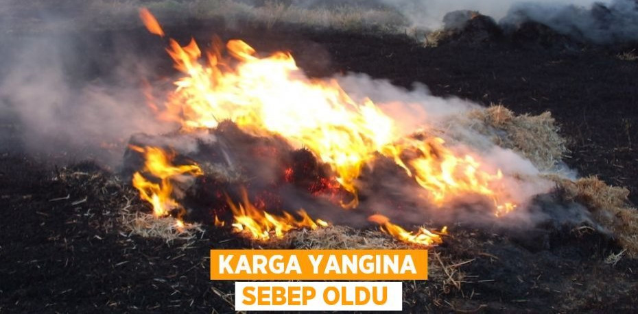 Karga yangına sebep oldu