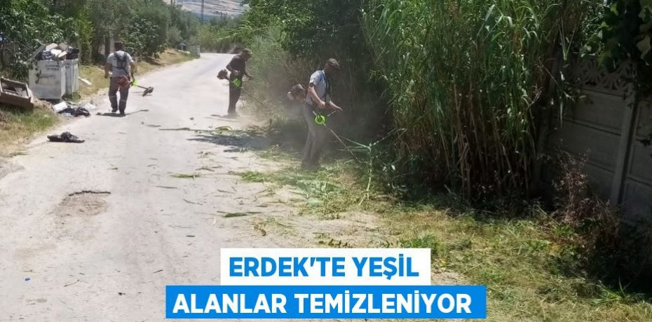 ERDEK'TE YEŞİL ALANLAR TEMİZLENİYOR