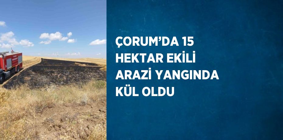 ÇORUM’DA 15 HEKTAR EKİLİ ARAZİ YANGINDA KÜL OLDU