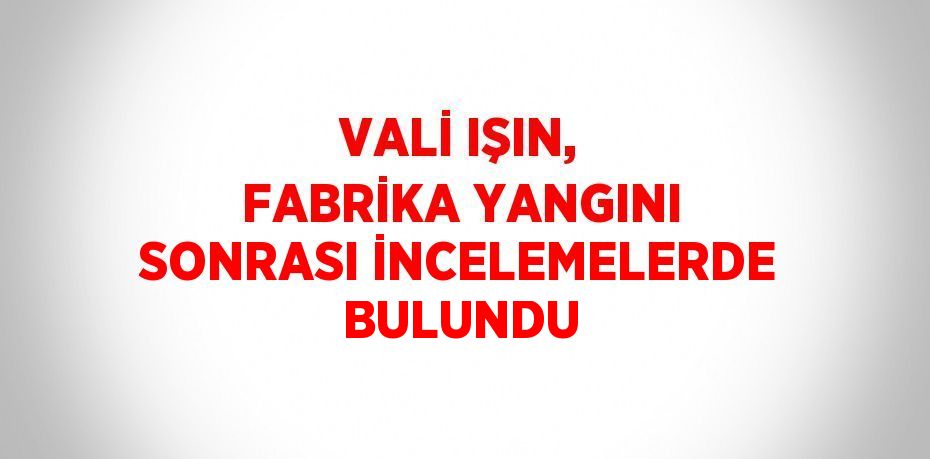 VALİ IŞIN, FABRİKA YANGINI SONRASI İNCELEMELERDE BULUNDU