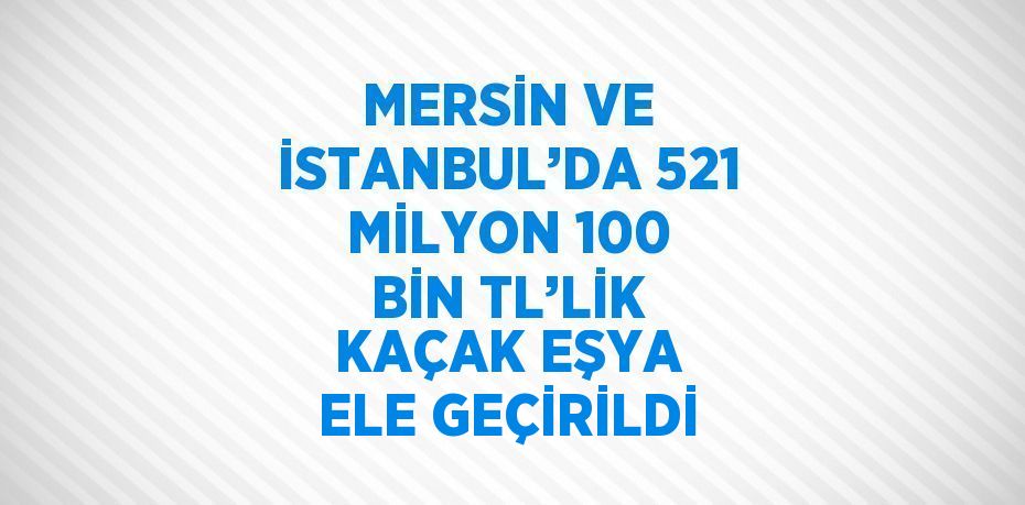 MERSİN VE İSTANBUL’DA 521 MİLYON 100 BİN TL’LİK KAÇAK EŞYA ELE GEÇİRİLDİ