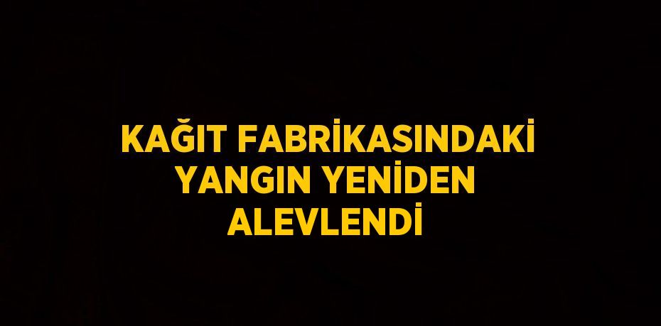 KAĞIT FABRİKASINDAKİ YANGIN YENİDEN ALEVLENDİ