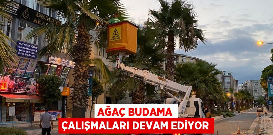 Ağaç Budama Çalışmaları Devam Ediyor