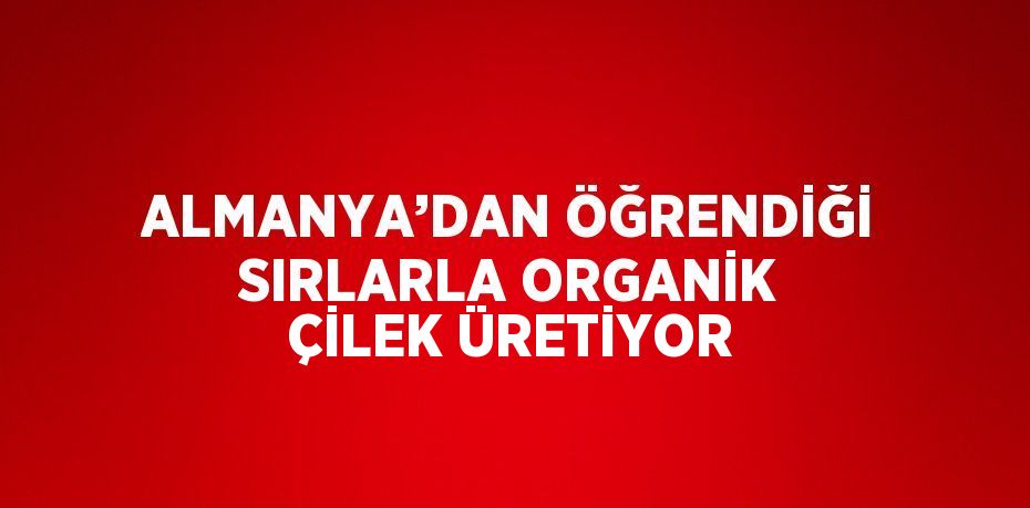 ALMANYA’DAN ÖĞRENDİĞİ SIRLARLA ORGANİK ÇİLEK ÜRETİYOR