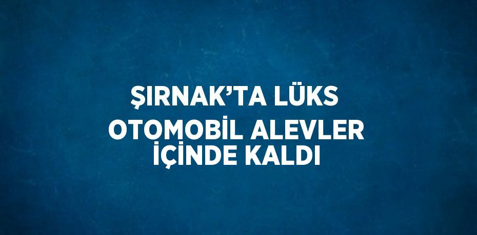 ŞIRNAK’TA LÜKS OTOMOBİL ALEVLER İÇİNDE KALDI