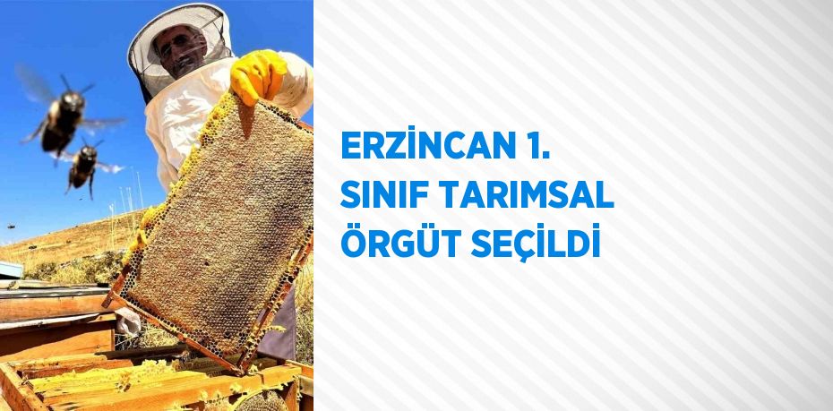 ERZİNCAN 1. SINIF TARIMSAL ÖRGÜT SEÇİLDİ