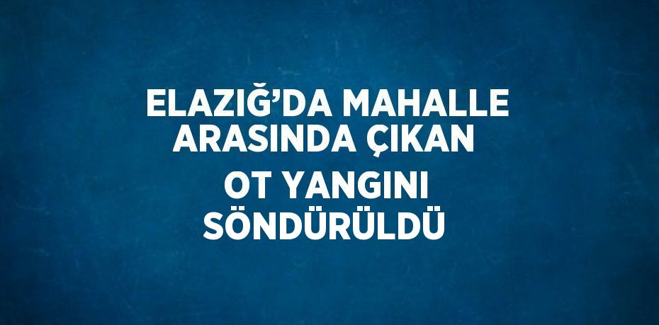 ELAZIĞ’DA MAHALLE ARASINDA ÇIKAN OT YANGINI SÖNDÜRÜLDÜ