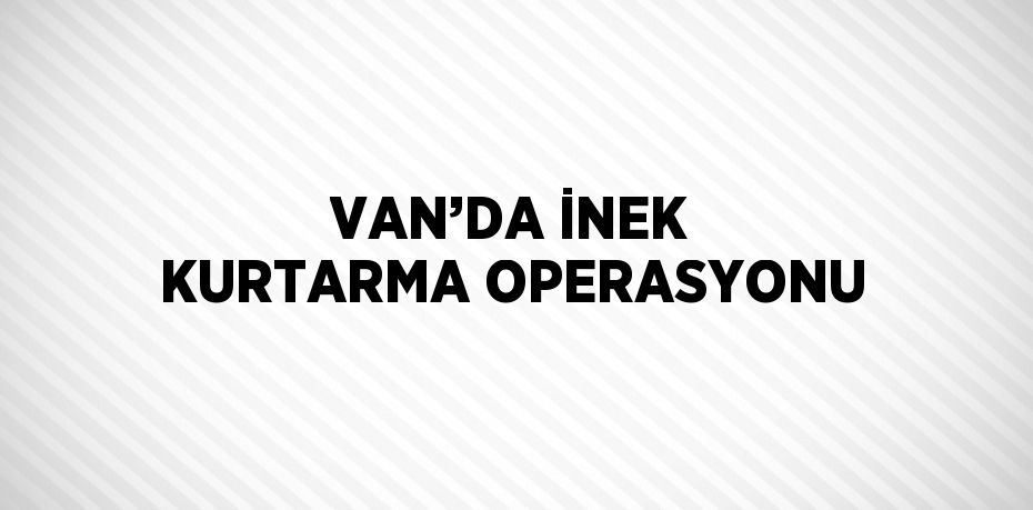 VAN’DA İNEK KURTARMA OPERASYONU