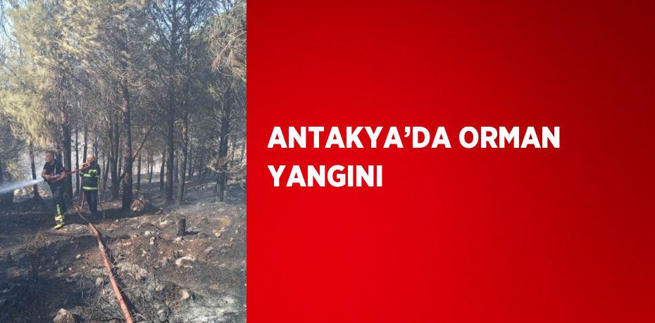 ANTAKYA’DA ORMAN YANGINI