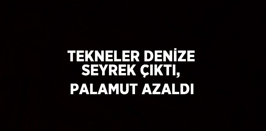 TEKNELER DENİZE SEYREK ÇIKTI, PALAMUT AZALDI