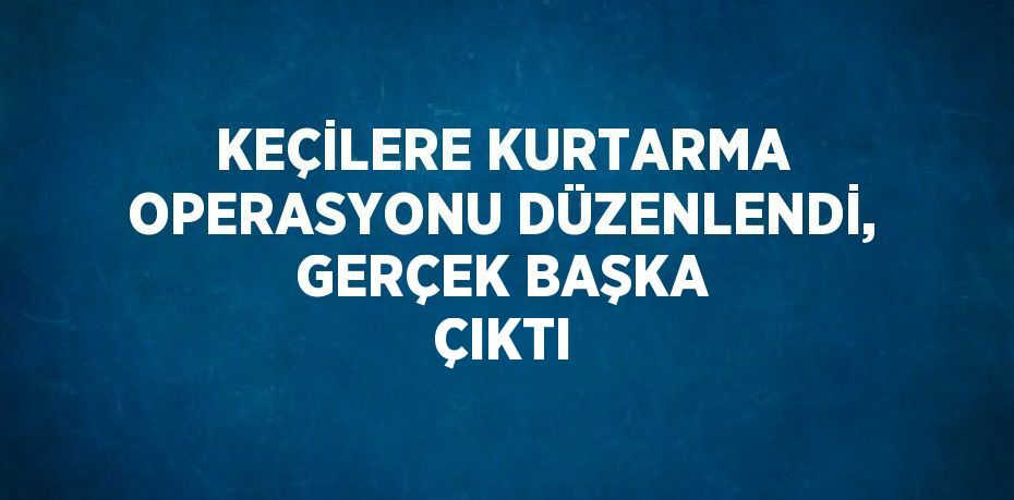 KEÇİLERE KURTARMA OPERASYONU DÜZENLENDİ, GERÇEK BAŞKA ÇIKTI