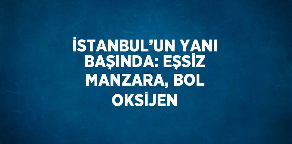 İSTANBUL’UN YANI BAŞINDA: EŞSİZ MANZARA, BOL OKSİJEN