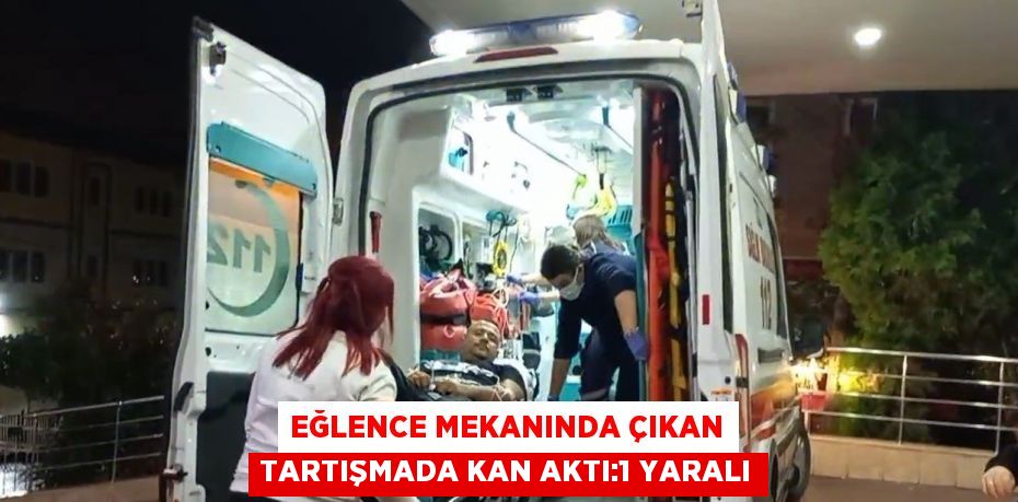 EĞLENCE MEKANINDA ÇIKAN TARTIŞMADA KAN AKTI:1 YARALI