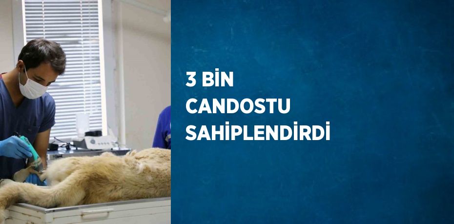 3 BİN CANDOSTU SAHİPLENDİRDİ