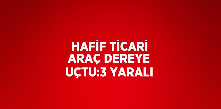 HAFİF TİCARİ ARAÇ DEREYE UÇTU:3 YARALI