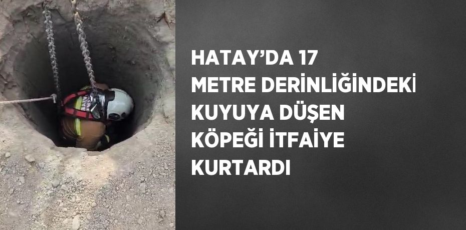 HATAY’DA 17 METRE DERİNLİĞİNDEKİ KUYUYA DÜŞEN KÖPEĞİ İTFAİYE KURTARDI