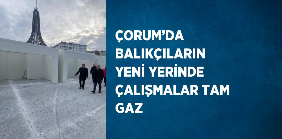 ÇORUM’DA BALIKÇILARIN YENİ YERİNDE ÇALIŞMALAR TAM GAZ