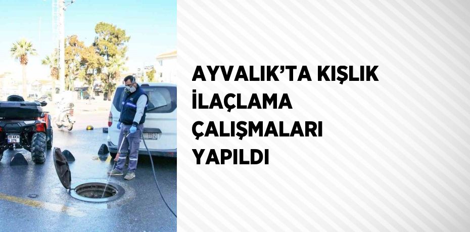 AYVALIK’TA KIŞLIK İLAÇLAMA ÇALIŞMALARI YAPILDI