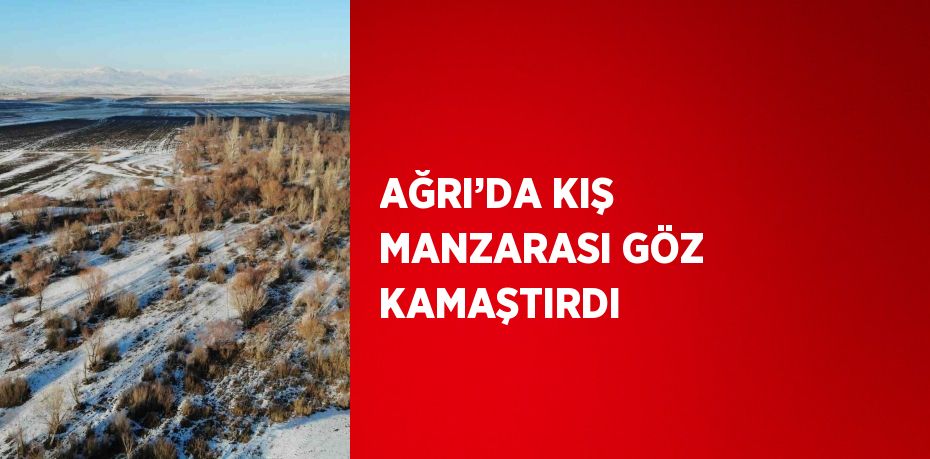 AĞRI’DA KIŞ MANZARASI GÖZ KAMAŞTIRDI