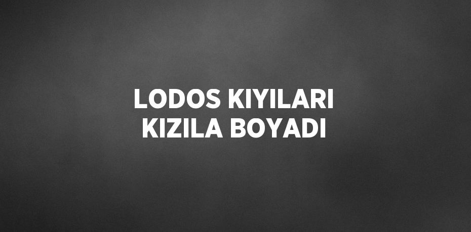 LODOS KIYILARI KIZILA BOYADI