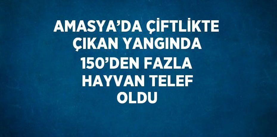 AMASYA’DA ÇİFTLİKTE ÇIKAN YANGINDA 150’DEN FAZLA HAYVAN TELEF OLDU