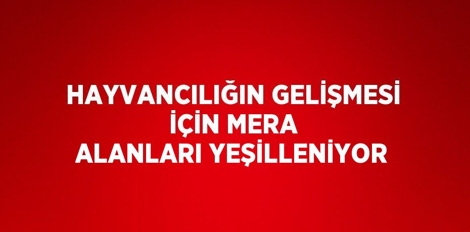 HAYVANCILIĞIN GELİŞMESİ İÇİN MERA ALANLARI YEŞİLLENİYOR