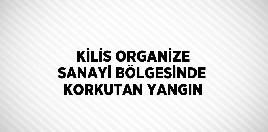 KİLİS ORGANİZE SANAYİ BÖLGESİNDE KORKUTAN YANGIN